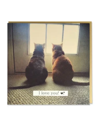 Tarjeta 2 Gatos 'I Love You'