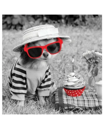 Tarjeta B/N Chihuahua con Gafas en Picnic