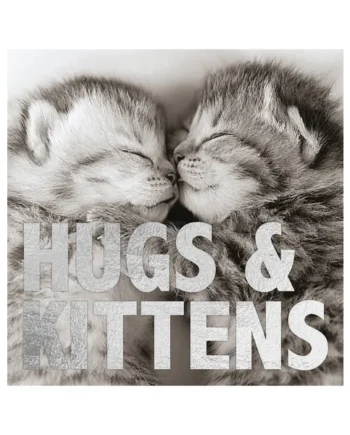 Tarjeta B/N Gatitos 'Hugs & Kittens'