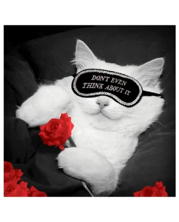 Tarjeta B/N Gato 'Don't Even Think…'
