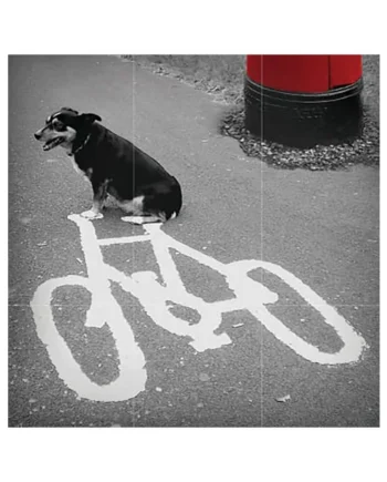Tarjeta B/N Perro y Bici