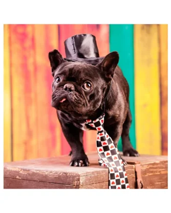 Tarjeta Bulldog Francés con Corbata