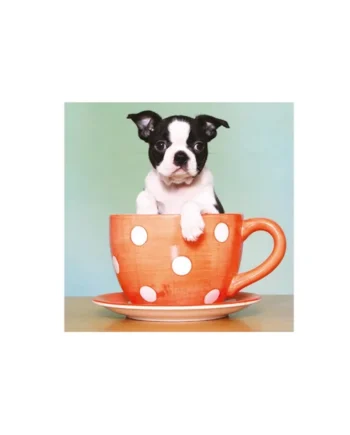 Tarjeta Cachorro Boston Terrier en Taza