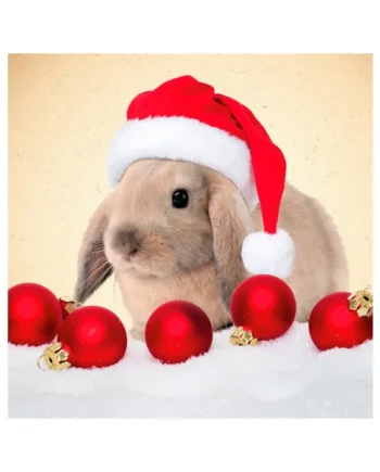 Tarjeta Conejito Navideño
