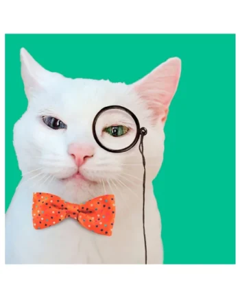 Tarjeta Fashion Gato con Monóculo