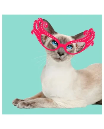 Tarjeta Fashion Gato Siamés con Gafas