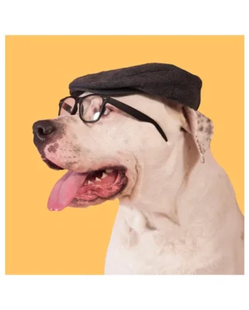 Tarjeta Fashion Perro con Gorro y Gafas