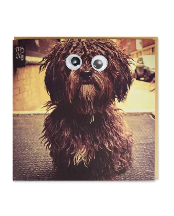 Tarjeta Fashion Shaggy Marrón con Ojos