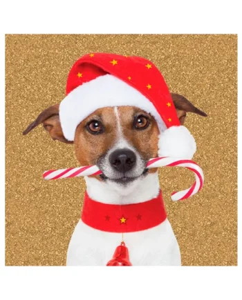 Tarjeta Jack Russel con Caramelo