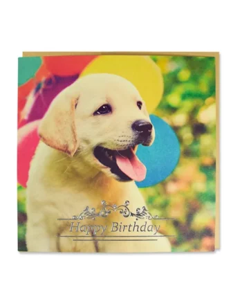 Tarjeta Labrador Amarillo y Pelotas