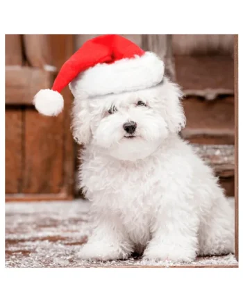 Tarjeta Merry Maltése