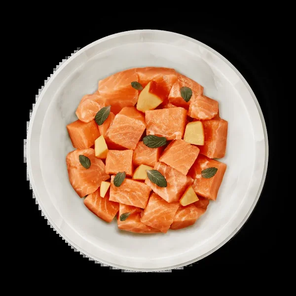 Terra Felis - Salmón 80g