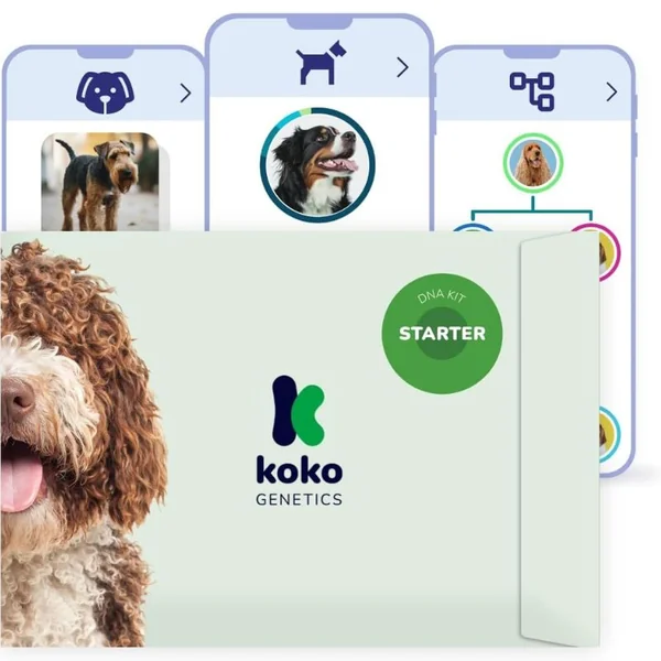 Test ADN para perros Starter Razas y rasgos genéticos Koko Genetics