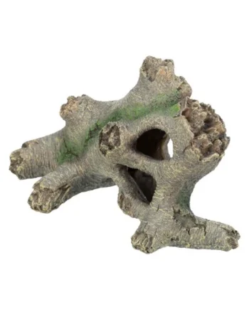 Tronco Hueco