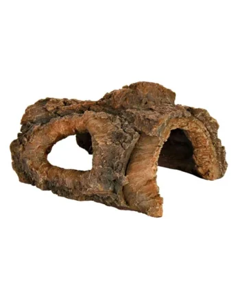 Tronco Hueco