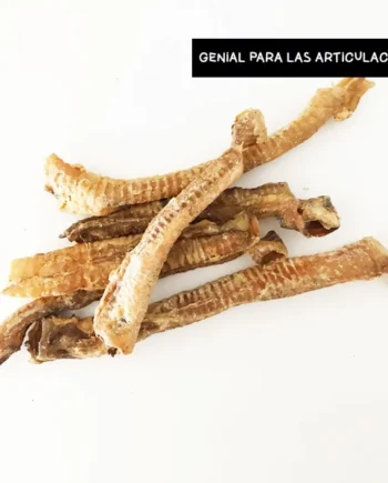 Tráqueas de ciervo