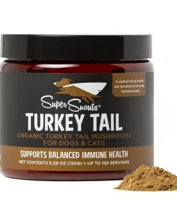 Turkey Tail Cola de Pavo
