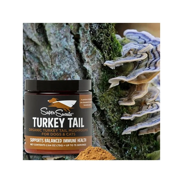 Turkey Tail Cola de Pavo – Suplemento sistema inmune perros y gatos