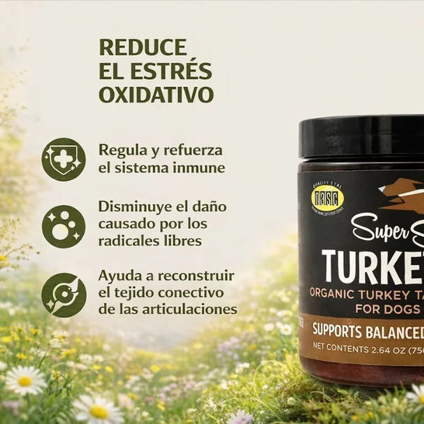 Turkey Tail Cola de Pavo – Suplemento sistema inmune perros y gatos