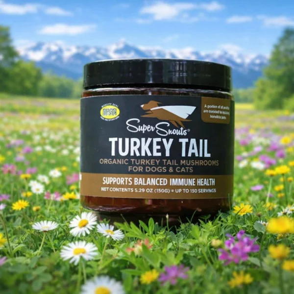 Turkey Tail Cola de Pavo – Suplemento sistema inmune perros y gatos