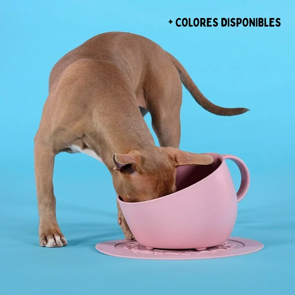 United Pets - Comedero taza XXL