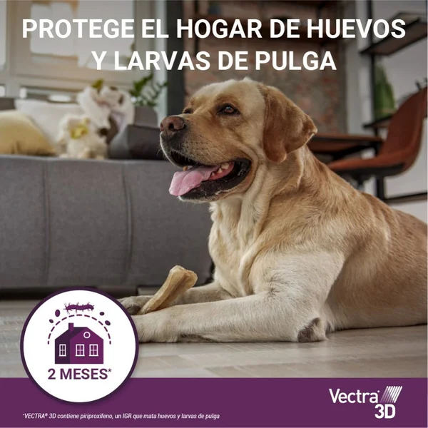 Vectra 3D Pipeta Antiparasitaria para Perros