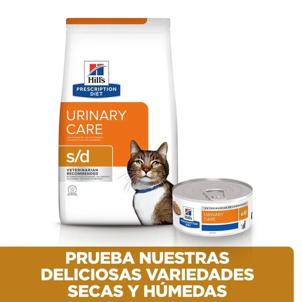 Venta de graduación: único Hill's PD Feline S/d para él y ella en Murcia España.