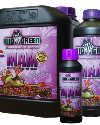Venta de MAM, Propagación de Esquejes de Biogreen.