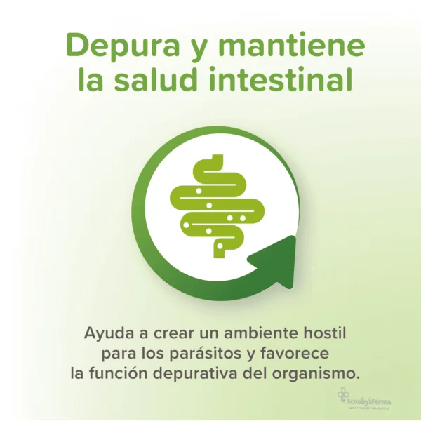 VERMIPURE gatos Antiparasitario INTERNO Natural 50 comprimidos