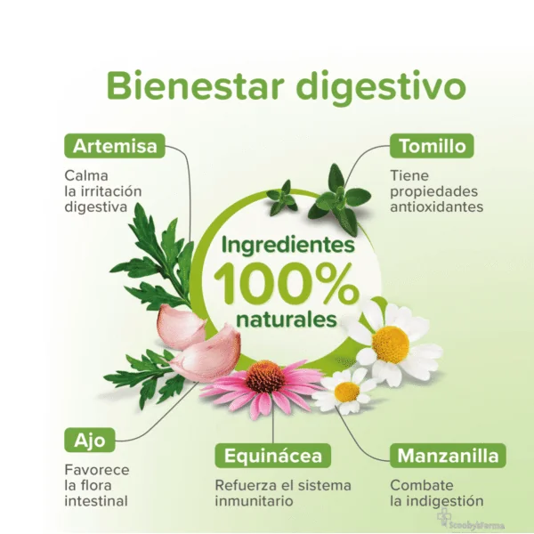 VERMIPURE gatos Antiparasitario INTERNO Natural 50 comprimidos