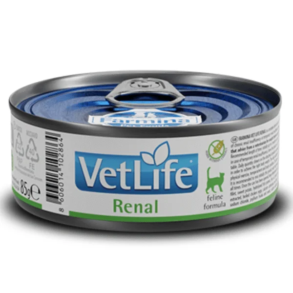 Vet Life cat RENAL Farmina gatos 12x85 g