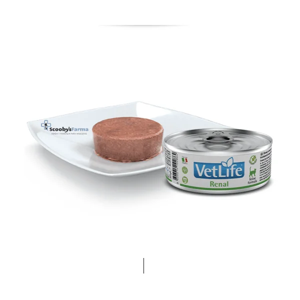 Vet Life cat RENAL Farmina gatos 12x85 g