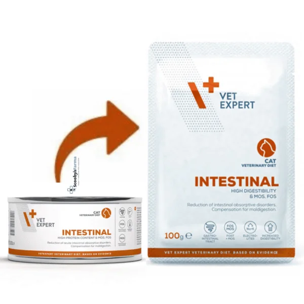 VetExpert Intestinal cat POUCH 12x100 g gatos
