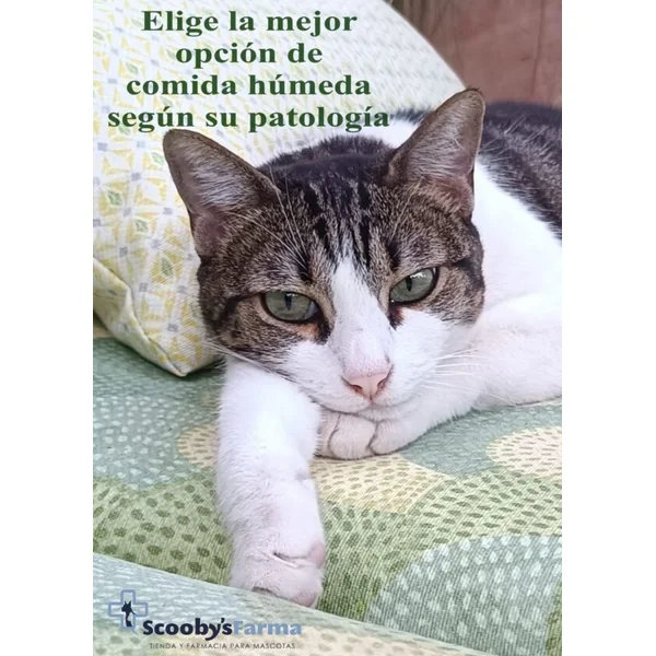 VetExpert Urinary cat pouch gatos 12x100 g