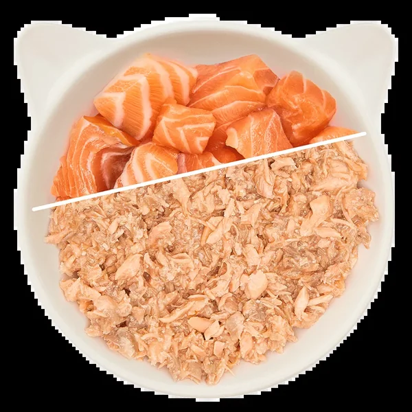WOW Cat - Filete de Salmón 70g