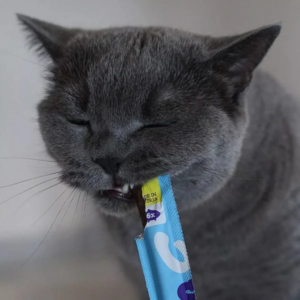 WOW Cat - Soft Sticks con Salmón