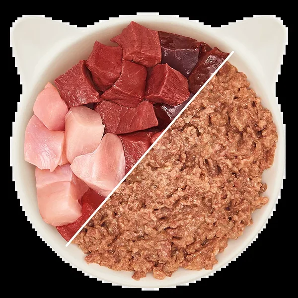 WOW Cat - Vacuno y Pavo en Paté 125g
