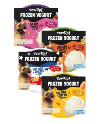 Yowup Yogurt Helado