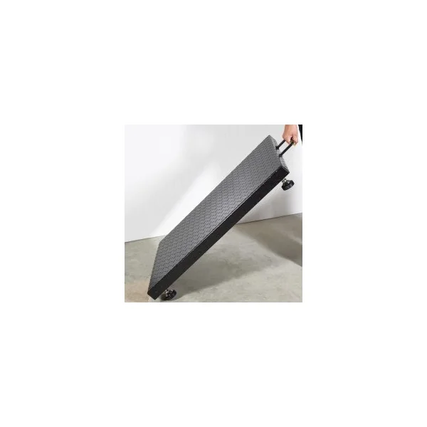 ZFD 900x600/1000x1000 600Kg 200g Plataforma de Baxtran