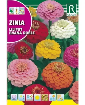 Zinia Liliput Enana Doble, Variada